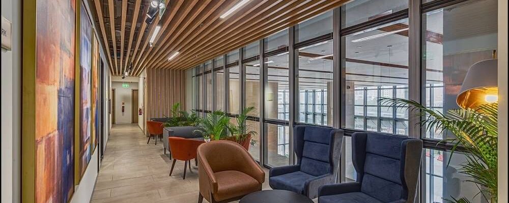 Benefits of Natural Light in Office Design